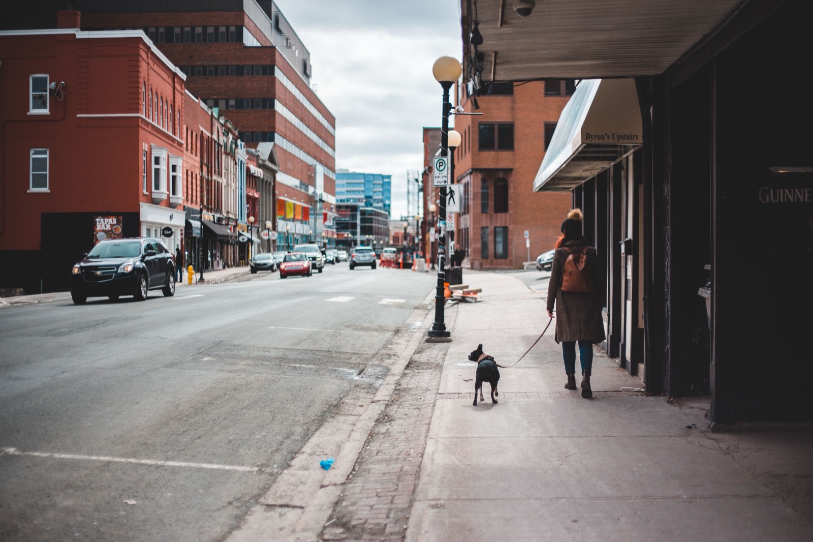 Persona paseando a un perro por la calle
