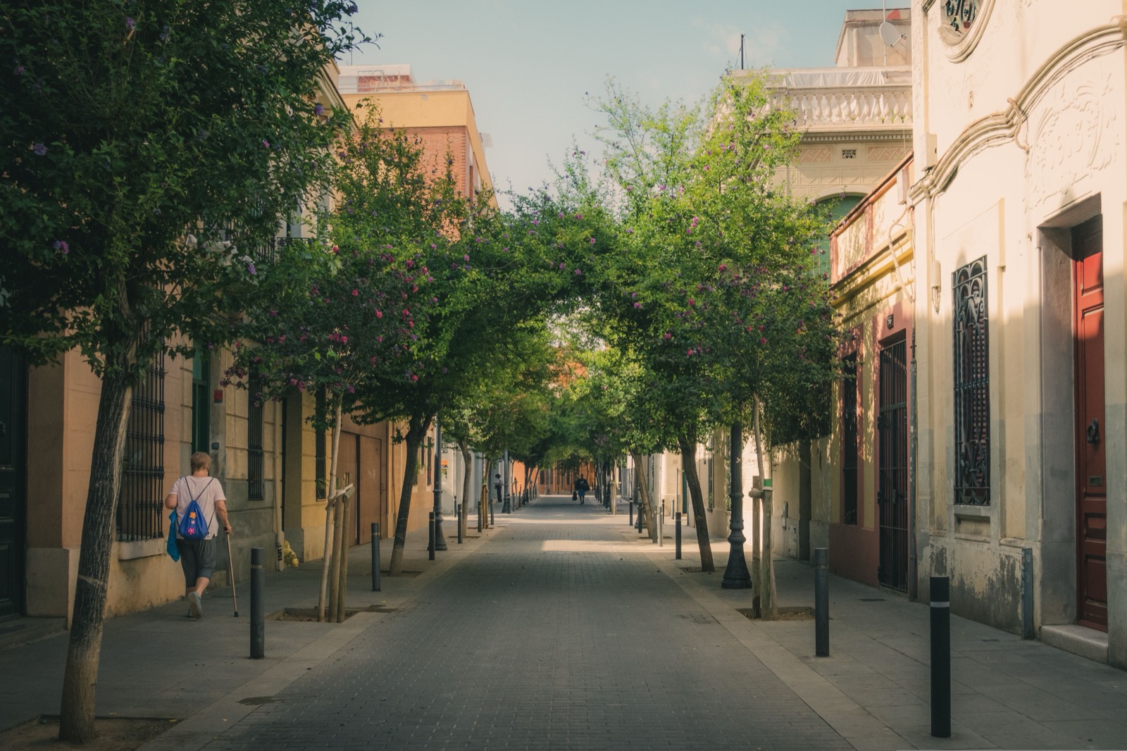 Quiet tree-lined residential street