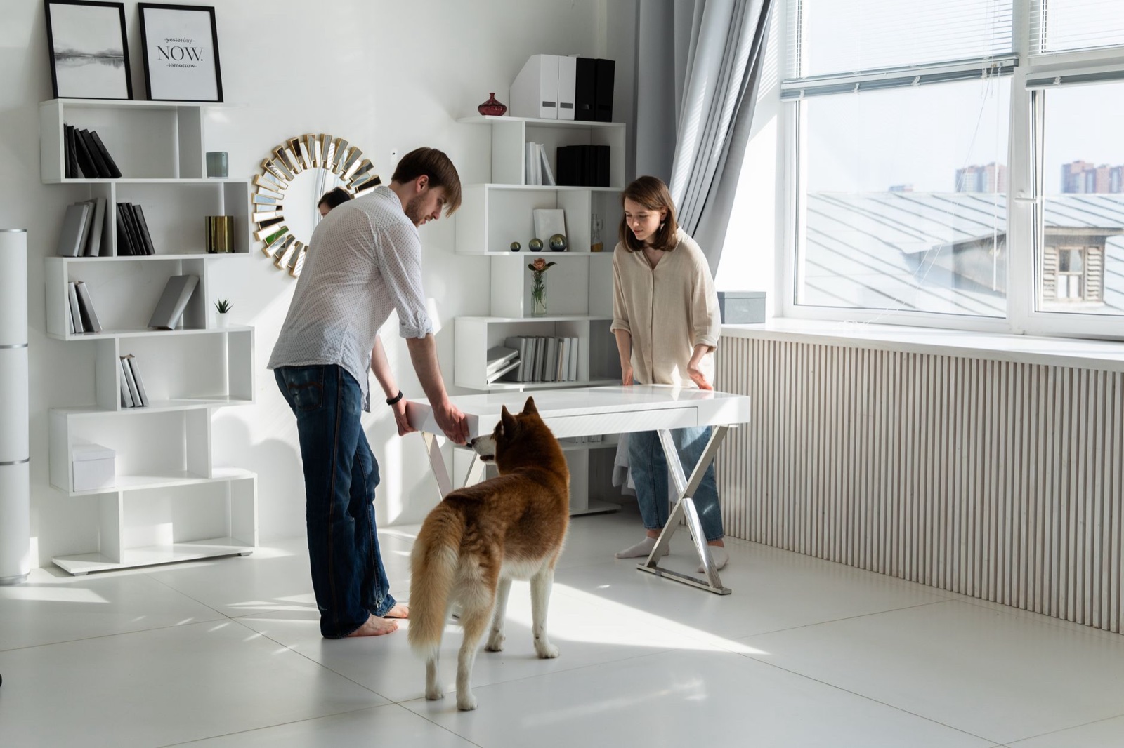 Couple with a dog in a bright apartment