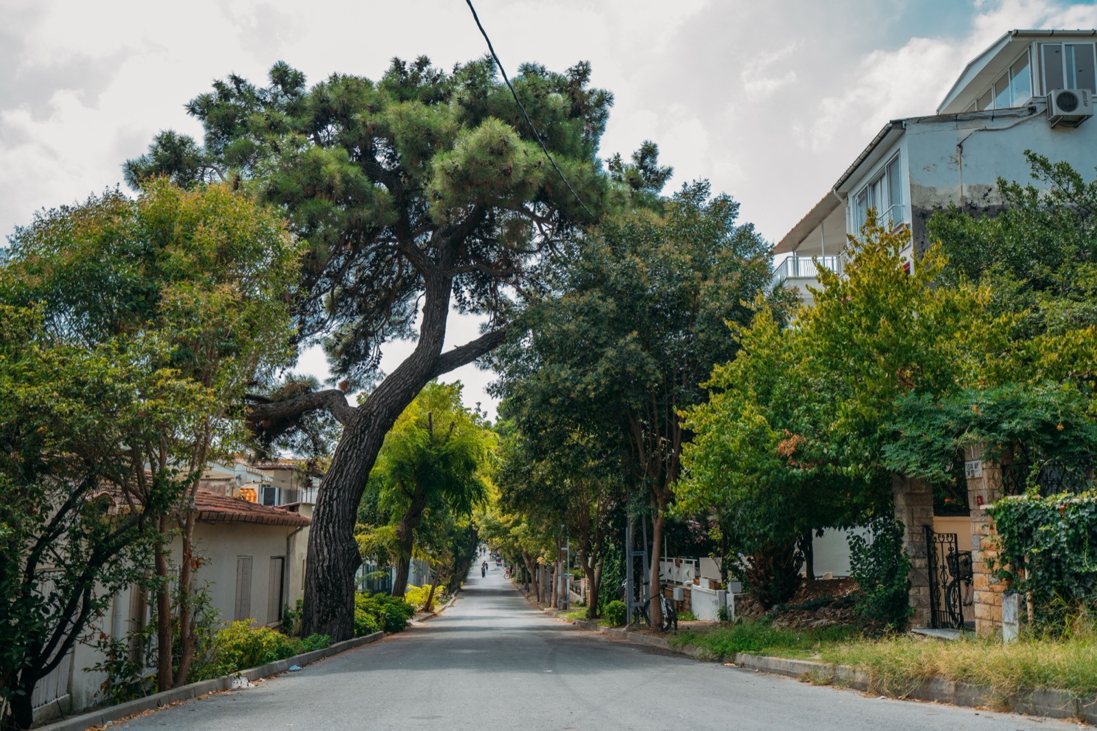 Calle residencial arbolada en un barrio de las afueras