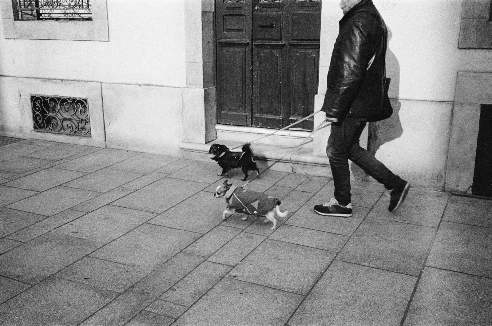 Walking two dogs on a leash past an apartment door